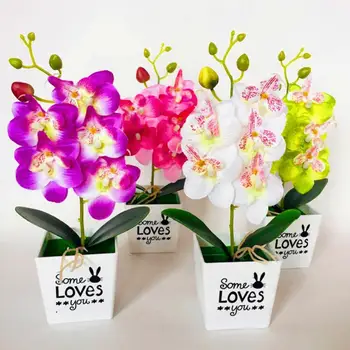 40%HOTArtificial Kvet Phalaenopsis Bonsai Falošné Kvetináče Domov Obývacia Izba Stolové Dekorácie, Svadobné Party Kvet