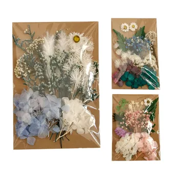 DIY Real Sušené Kvety, Živica Formy Náplne UV Expoxy Kvet pre Nail Art Lisované Kvety pre Domova Remeselné