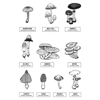 Mushroon Jasné Známky Dekorácie 10 Mushroon Transparentné Gumových Pečiatok Pre Zápisník,Plánovač