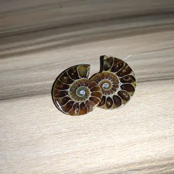 2 ks Madagaskar Mora Prírodné Druzy Ammonite Plátok Shell Drahokam Vzor