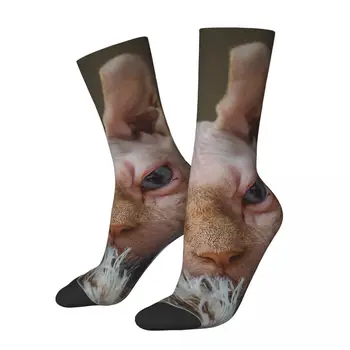 Radi Vtipné pánske Ponožky Sphynx Mačka-1 Retro Harajuku Sphynx Bezsrstá Mačka Hip Hop Novinka Bezšvíkové Posádky Blázon Ponožka Darček Tlačené